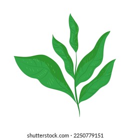 deja el icono de la naturaleza aislado