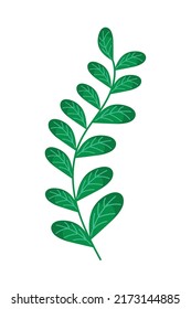 leaves nature icon isolated flat