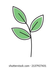 leaves nature icon isolated vector
