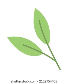 leaves nature icon isolated vector