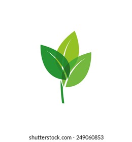 leaves and nature. logo