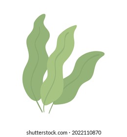 leaves nature and organic icon isolated