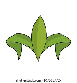 Leaves nature symbol