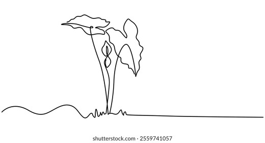 leaves of Nephthytis or Green Caladium continuous one line drawing, Fresh green arrowhead vine plant (Syngonium podophyllum) in black pot isolated on white background, Arrow head plant or ‎Syngonium.