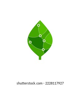 leaves and nodes into a modern logo.