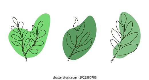  Leaves on an abstract green spot. Foliage graphic art drawing with abstract shape. Abstract Plant Art design set. Vector illustration. Hand drawn