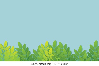 Leaves on a beautiful background