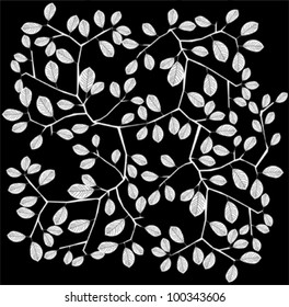 Leaves  on black background