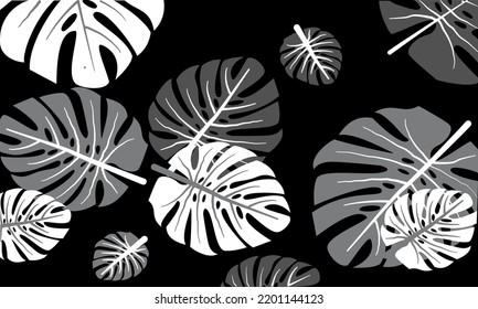 Leaves on black background for design and decoration