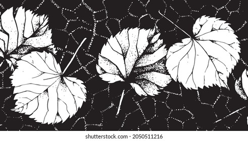 Leaves on a black background. Set of drawn leaves. Plants on a black background. Ink drawing. Grunge sketch
