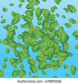 Leaves on a blue background