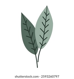 Leaves on a branch, colored. Cute illustration, vector, color, simple. Cartoon, flat. Isolated on white background