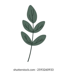 Leaves on a branch, colored. Cute illustration, vector, color, simple. Cartoon, flat. Isolated on white background