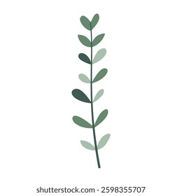 Leaves on a branch, colored. Cute illustration, vector, color, simple. Cartoon, flat. Isolated on white background