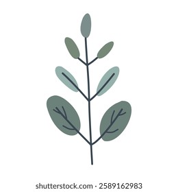 Leaves on a branch. Cute illustration, vector, color, simple. Cartoon, flat. Isolated on white background
