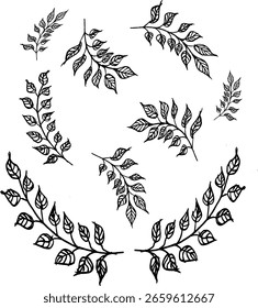 the leaves on the branches are arranged lengthwise