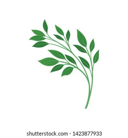 Leaves on a branching stalk. Vector illustration on white background.