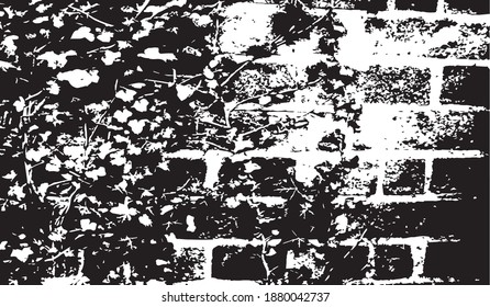 Leaves on the brick wall. Design element. Background texture, vector illustration.