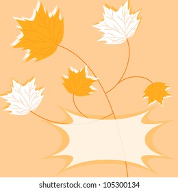 leaves on a light orange background