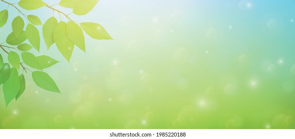 Leaves on natural bokeh background. Vector illustration.
