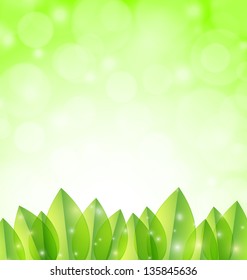 Leaves on soft green background