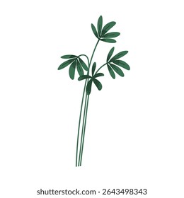 Folhas no caule, planta de folhagem verde exótica. Ramos de folhas tropicais, vegetação de folhas frescas. Verdura orgânica botânica, vegetação, decoração. Ilustração de vetor plano isolada no plano de fundo branco