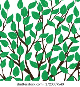 Leaves on the tree branches
Spring branch with green leaves on white