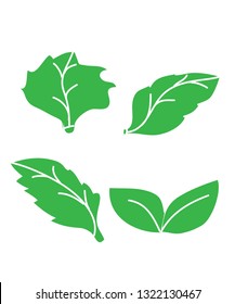 Leaves on white background.