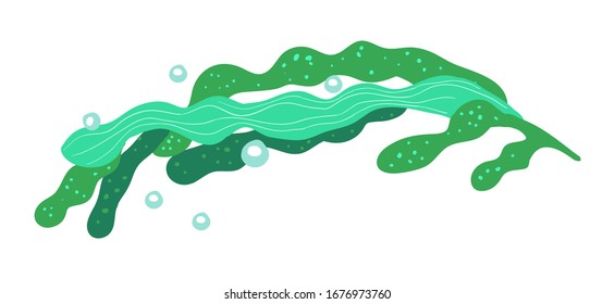 Leaves on a white background.  Curly algae isolated. Vector marine plant. Vector design Object.