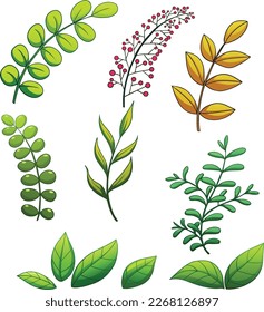 The leaves on the white background have many shapes.