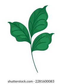 leaves on white background icon