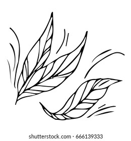 Leaves on white background vector illustration. Doodle style. Design icon, print, logo, poster, symbol, decor, textile, paper, card. 