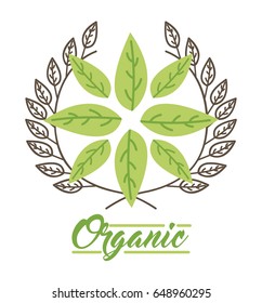 leaves organic icon