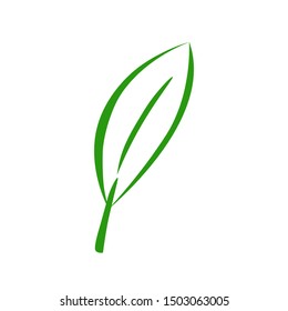 leaves organic  logos - Vector