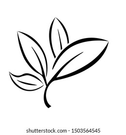 leaves organic logos - vector icon