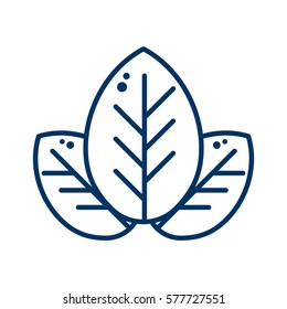 Leaves Outline Icon