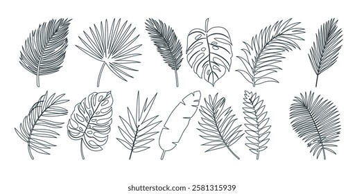 Leaves outline tropical clipart set. Leaf black lines drawing, icon and symbol clip art collection like palm, banana, monstera and fern elements vector illustration. 
