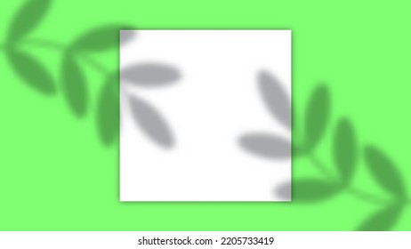 Leaves Overlay Scene Background with Copy Space Area. Suitable for Product Promotion