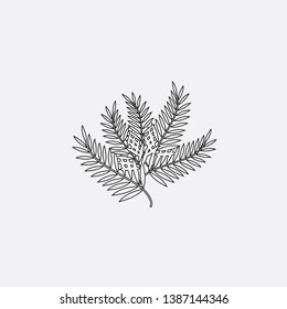 leaves palm icon sign signifier vector