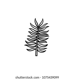 leaves of palm tree hand drawn vector outline doodle icon. Vector sketch illustration of palm leaf for print, web, mobile and infographics isolated on white background.