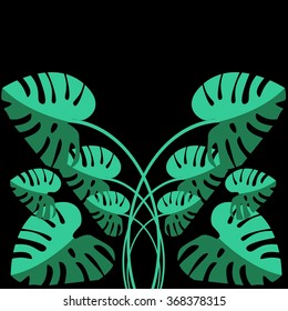 Leaves of palm tree on black background. 