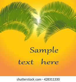 Leaves of palm tree on orange background. Vector illustration