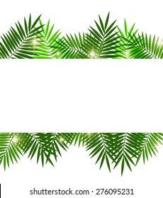 Leaves of palm tree on white background