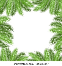 Leaves Of Palm Tree On White Background As A Template. Vector Illustration.