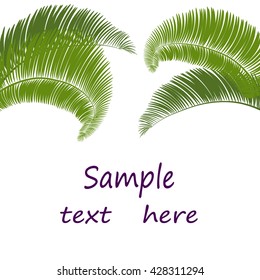 Leaves of palm tree on white background. Vector illustration