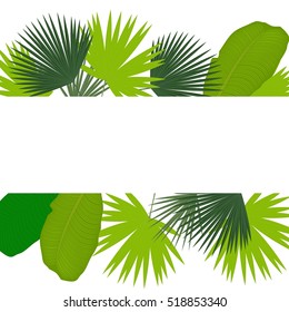 
Leaves of palm tree on white background. Greeting card.