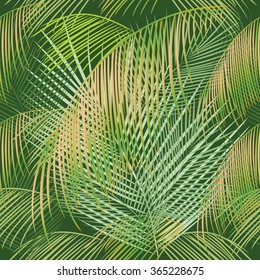 Leaves of palm tree. Seamless pattern. Vector background.