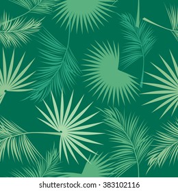 Leaves of palm tree. Seamless pattern. Vector background.