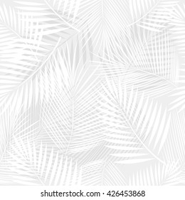 Leaves of palm tree. Seamless pattern. Vector gray background.