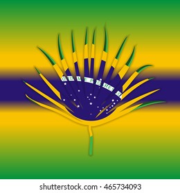 The leaves of palm trees with the inscription in 2016 of color flag of Brazil. Vector Illustration. EPS10